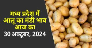 Potato market prices today in Madhya Pradesh (30th October, 2024)